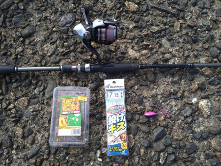 キスの50匹超え